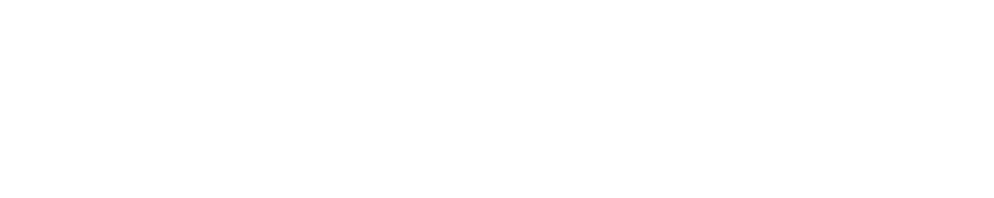 Logo PolarStar